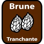Brune tranchante