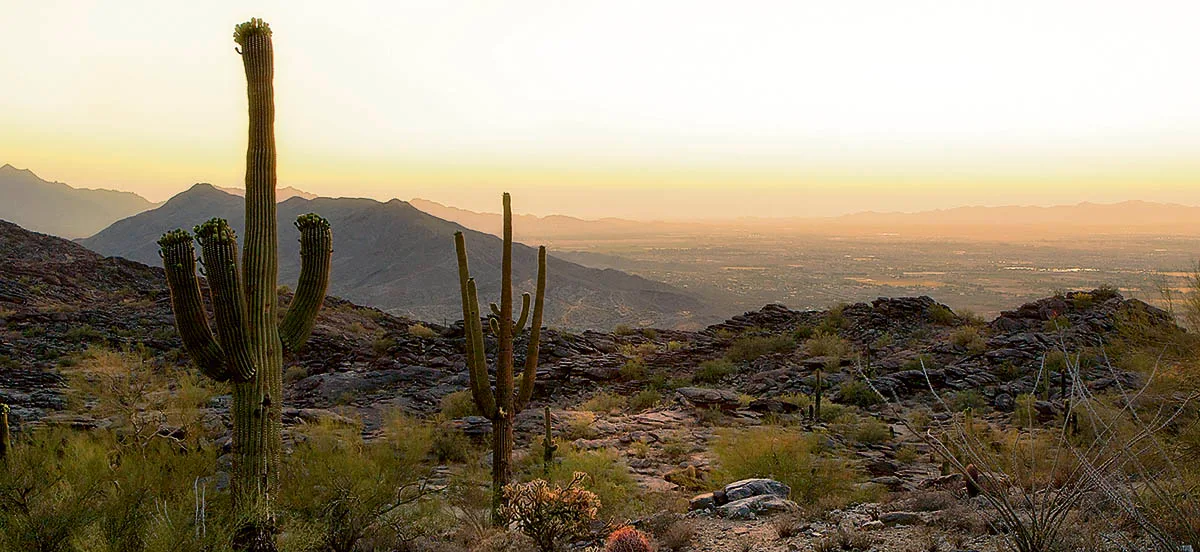 Virée au pays des cactus