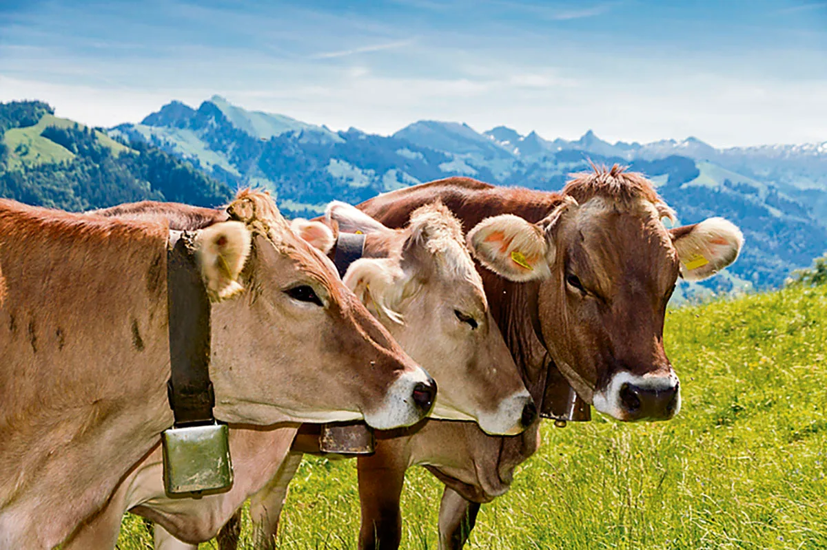 L’influence des saisons…