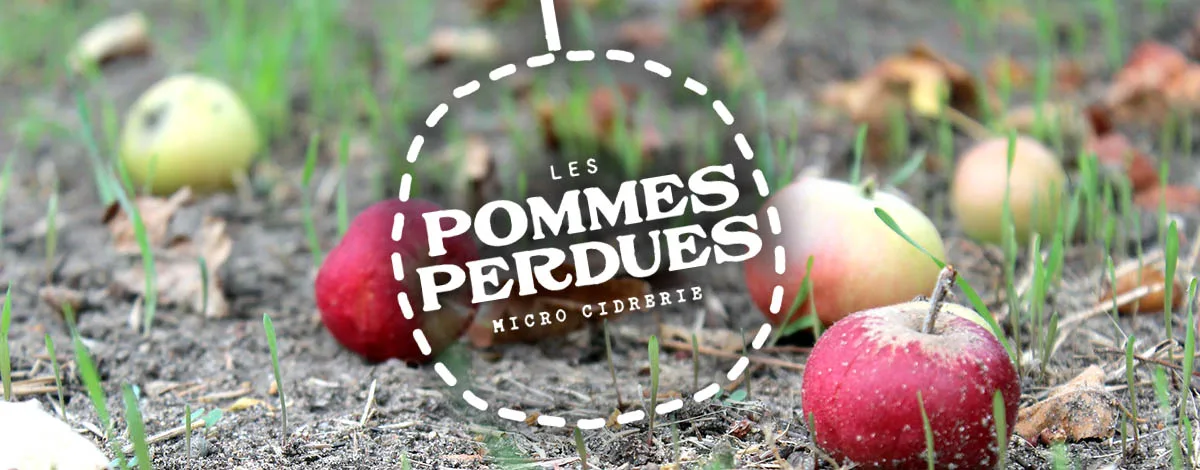 Une cidrerie à la rescousse des pommes sauvages