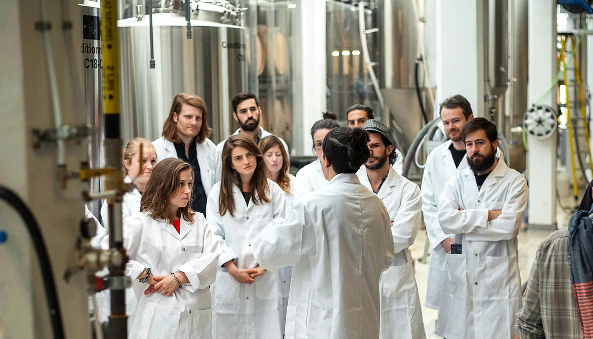 Visite des brasseries artisanales de Rosemont