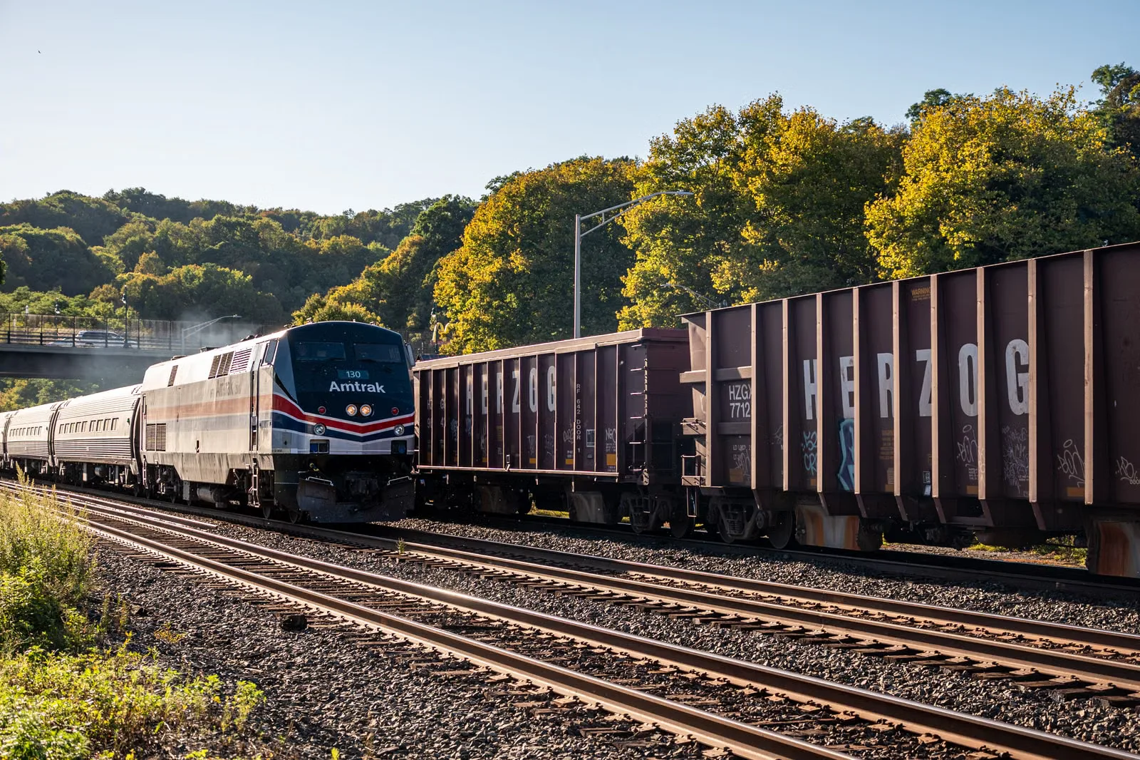 Un train de voyageurs Amtrak croise des wagons de marchandises par une journée ensoleillée, entouré d'une végétation luxuriante.