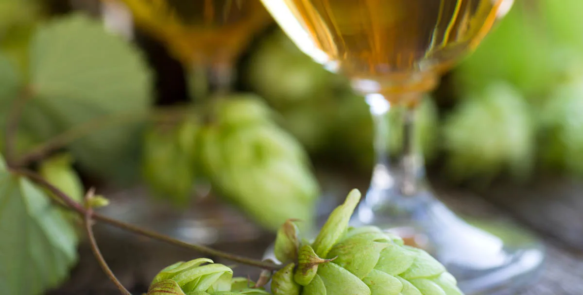 Single Malt and Single Hop (SMaSH)