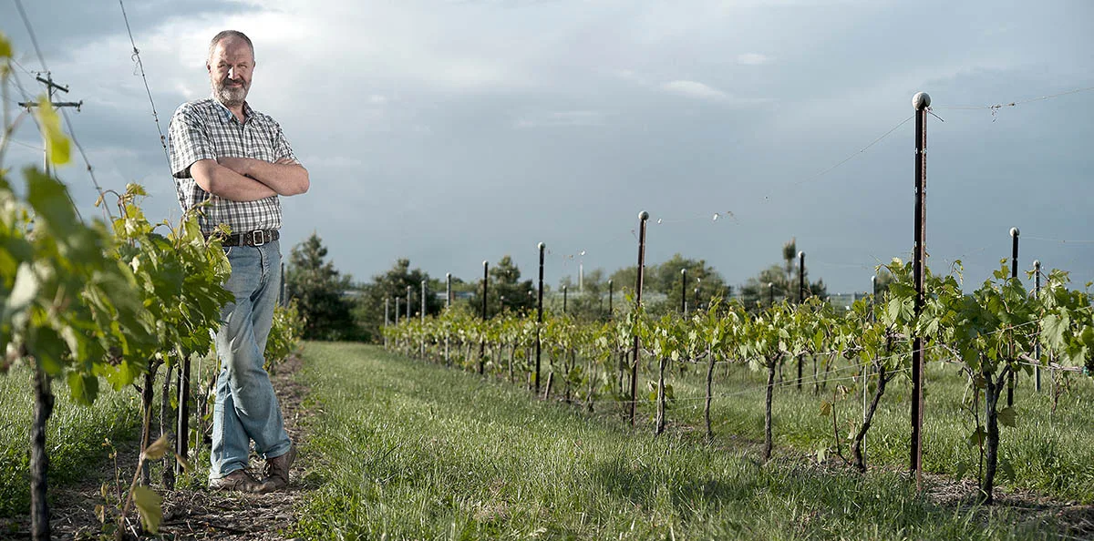 La Loi 88 plaît aussi aux vignerons!