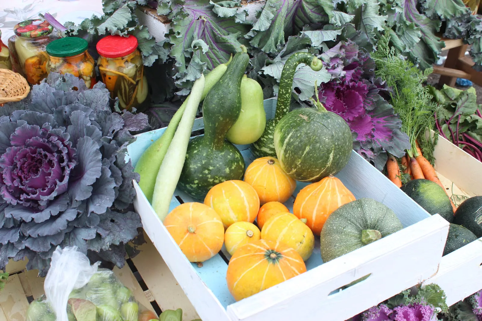 Un assortiment coloré de légumes frais, y compris des citrouilles, des choux et des courges dans un marché fermier.