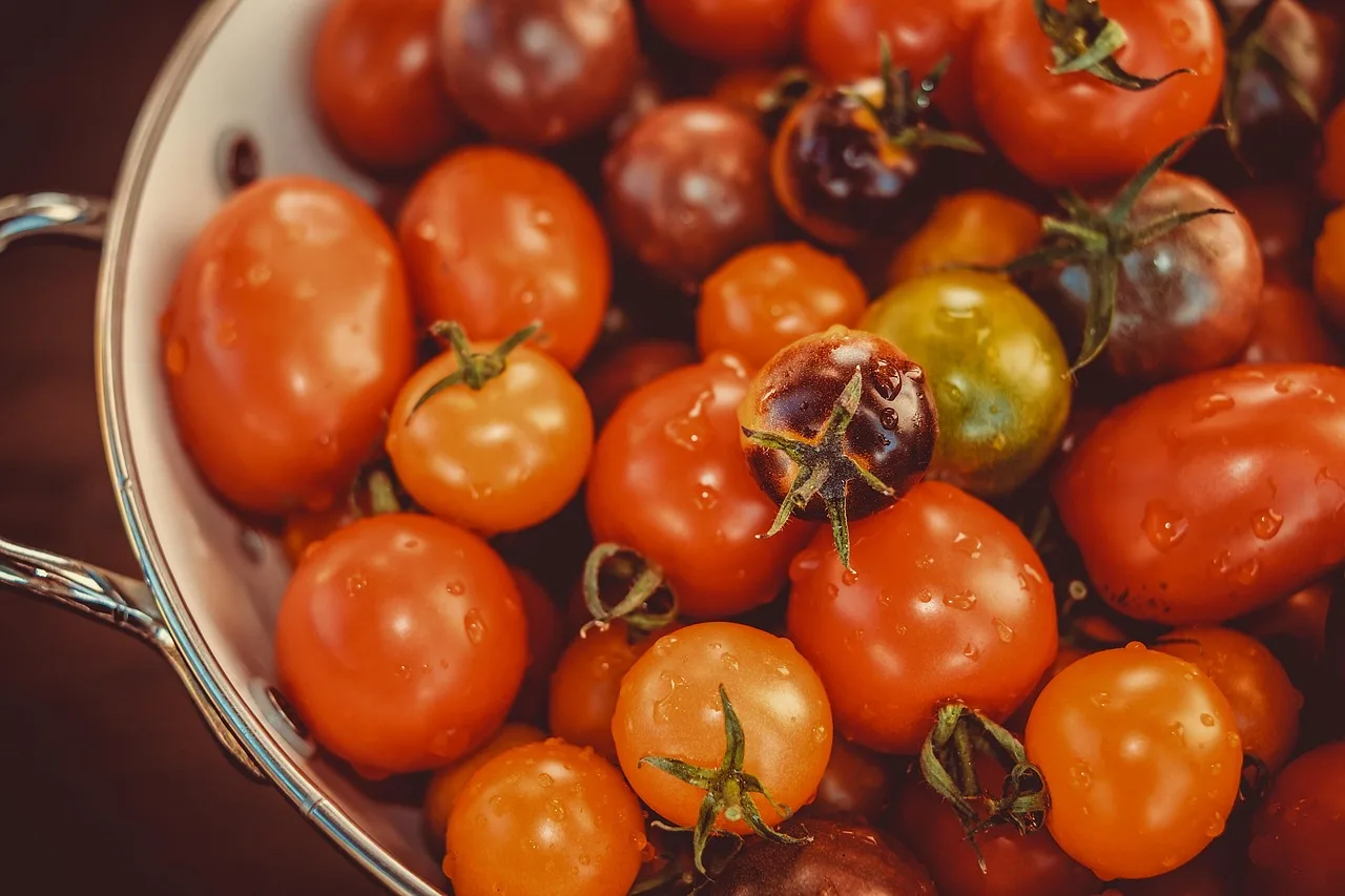 tomates, des légumes, aliments, frais, en bonne santé, biologique, mûr, nutrition, vitamines, cuisine, lavé, la photographie culinaire, tomates, tomates, tomates, tomates, tomates