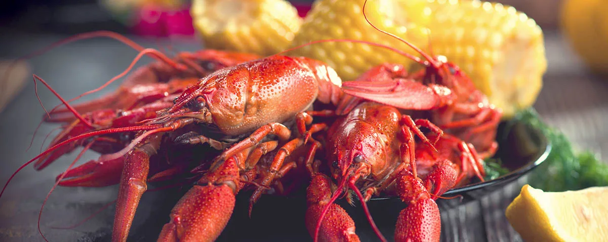 La cuisine cajun