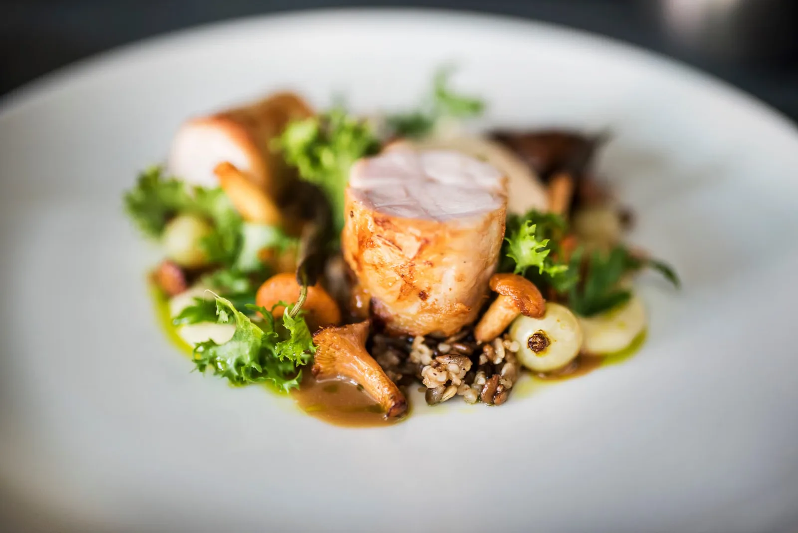 Gros plan d'un plat de poulet gourmet avec du riz sauvage, des champignons et des légumes verts sur une assiette blanche.