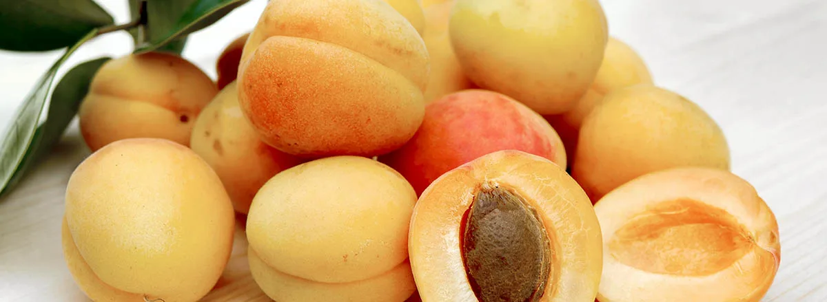 des abricots sur une table, dont un coupé en deux