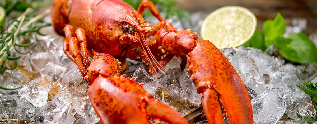 Fruits de mer