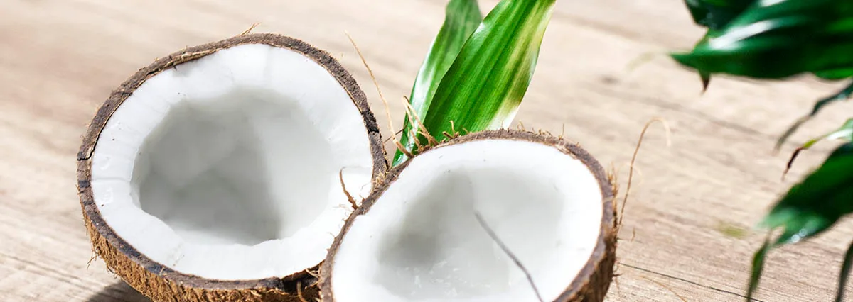 25_Coconut