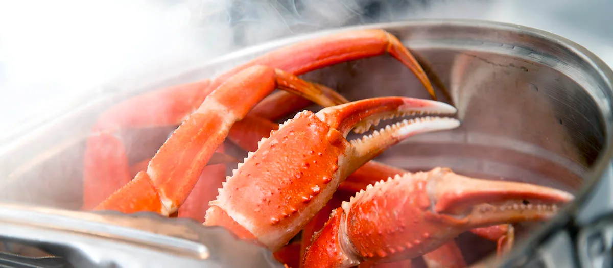 Le crabe des neiges sera bientôt dans votre assiette!