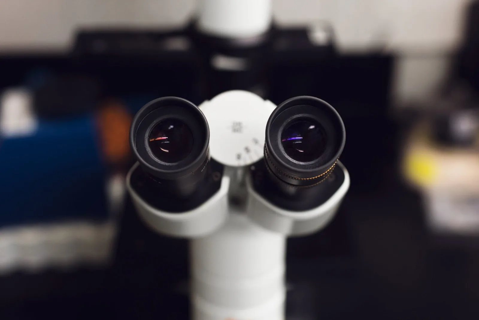 look-through-the-microscope