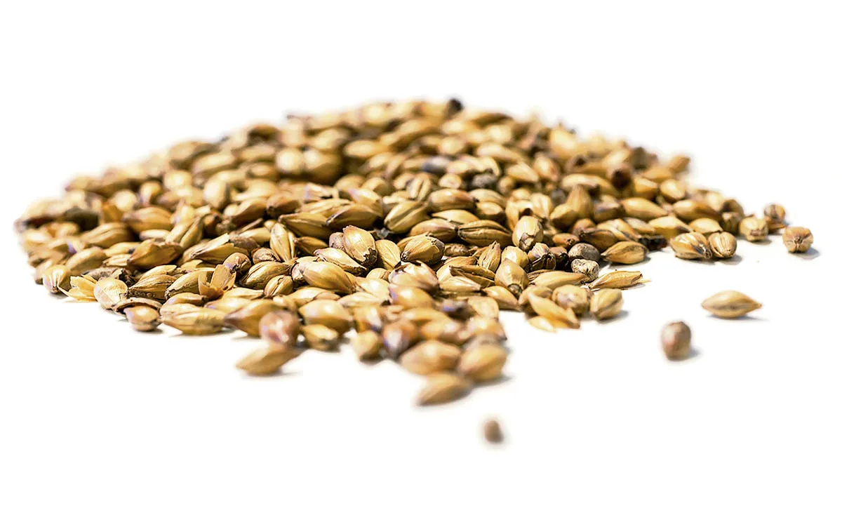 Le brassage maison… sur une note personnelle