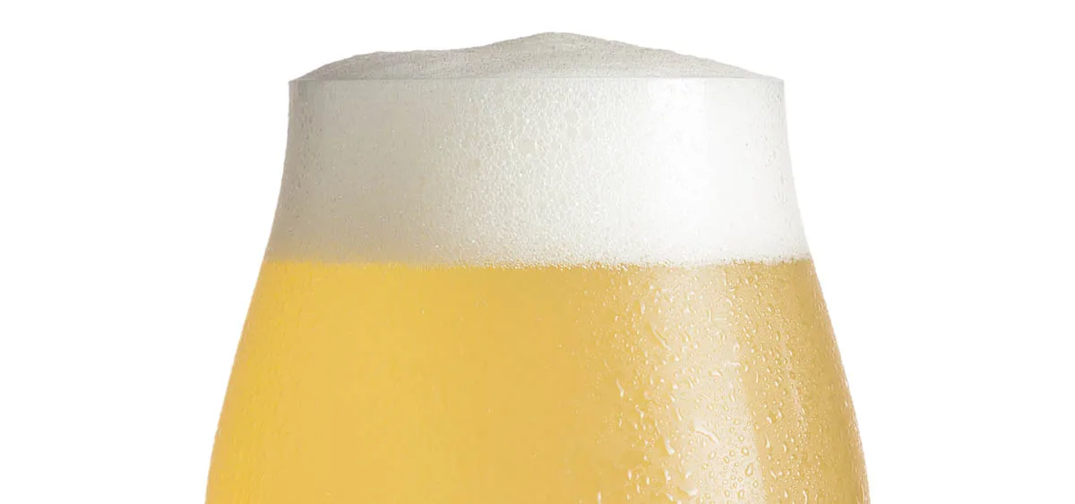 Un verre de bière tulipe remplie de Gose surmontée d'une belle mousse