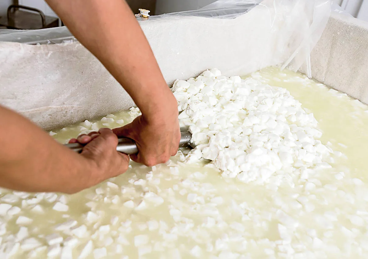 Les fromages au lait cru