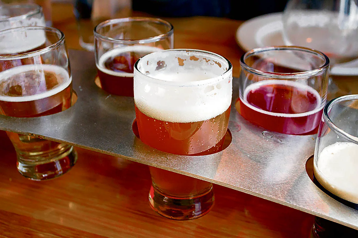 Le seigle, céréale rustique adaptée aux terres hostiles… et aux bières artisanales