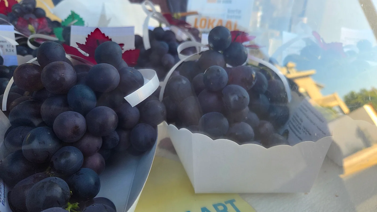 Druiven - Raisin - Hoeilaart