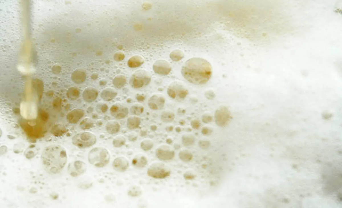 Blanche aux levures de vin blanc