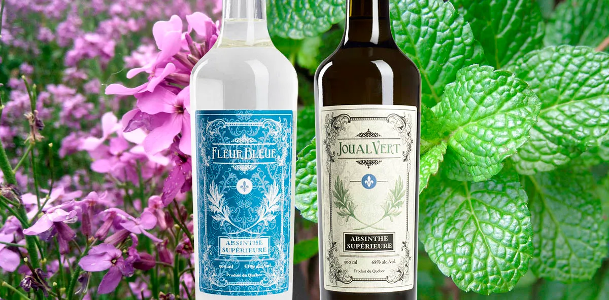 L’Absintherie des Cantons : le Val de Travers se retrouve en Estrie