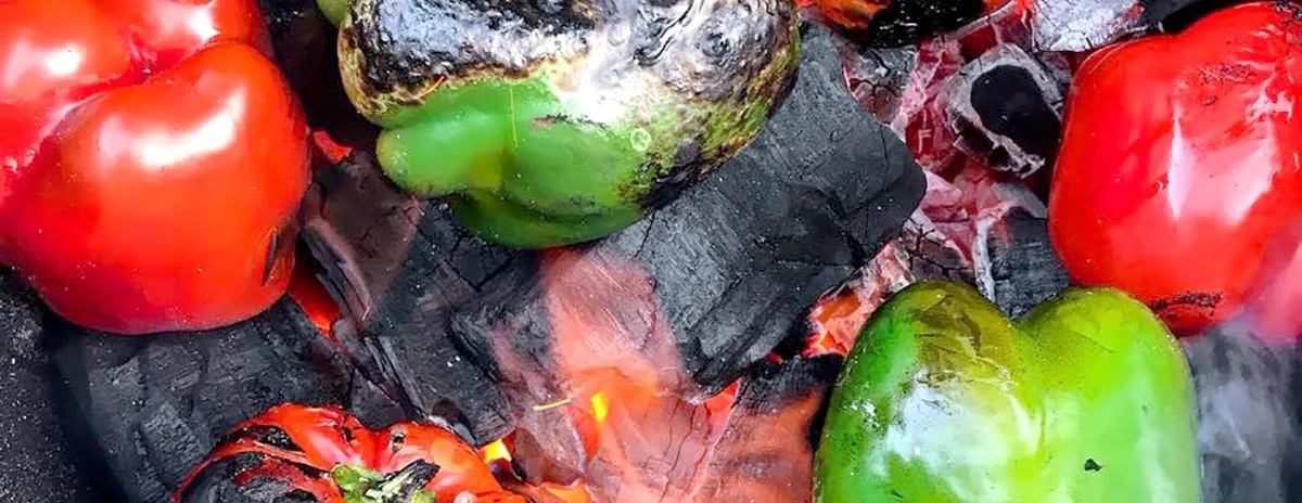 27_BBQ