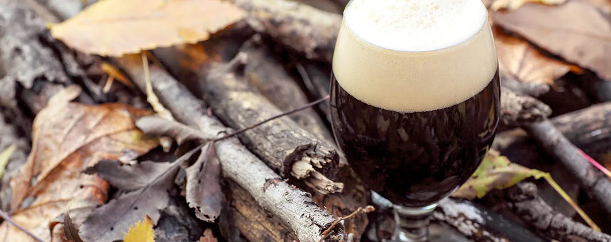 Verre rempli de bière noire sur le sol de la forêt parmi les feuilles et les branches un jour d'automne