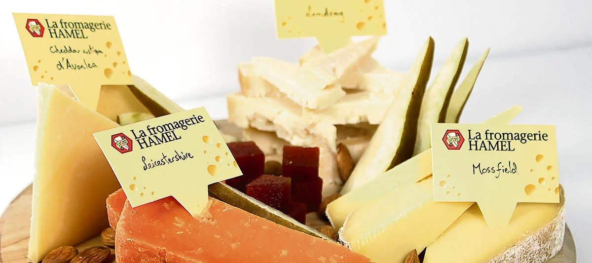 Bières et fromages - Inspirations cheddar