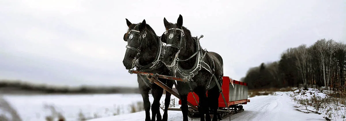Sensations fortes aux Glissades des Pays d’en Haut
