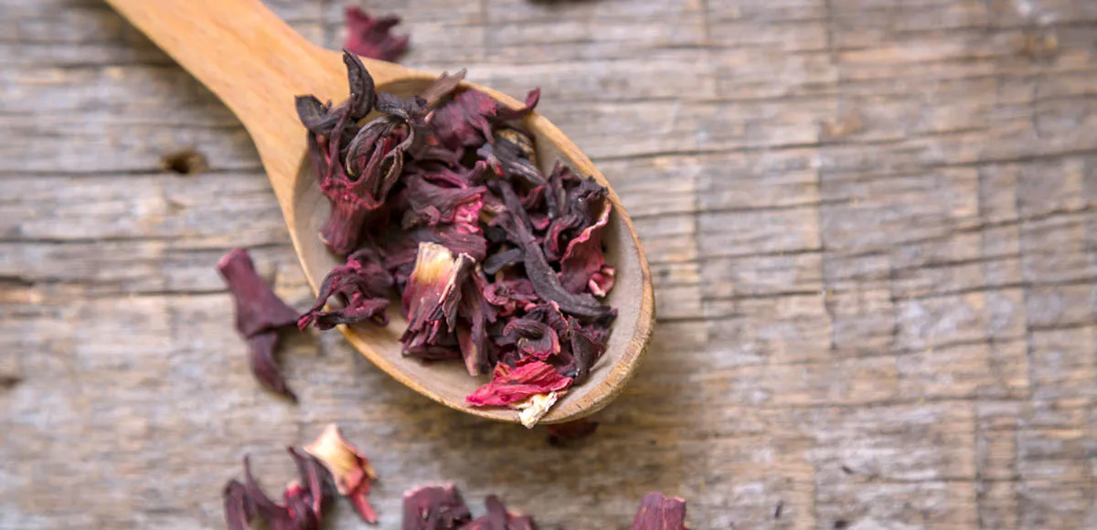 Une cuillère de bois pleine de pétales d'hibiscus séchées