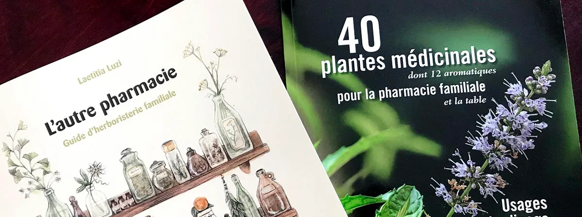 Un jardin d’herbes pour se soigner