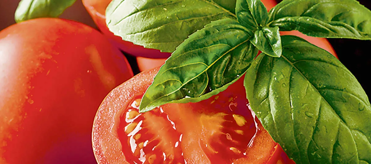 Bières et tomate? Un accord pas si dépassé!
