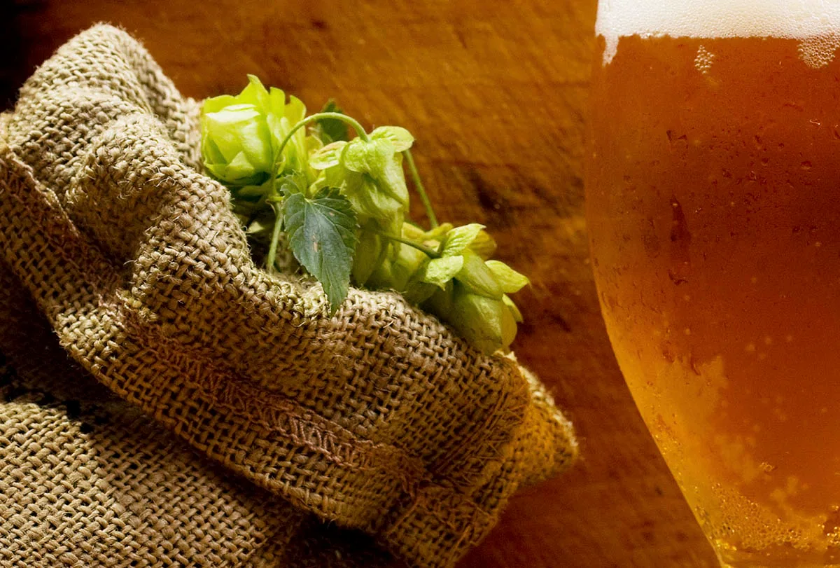 Les racines d’une tradition de brassage