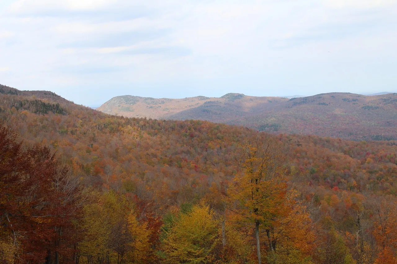 montagne, automne, saison, paysage, nature, panorama, canada, estrie, orford, arbre, couleur, feuilles, estrie, estrie, estrie, estrie, estrie
