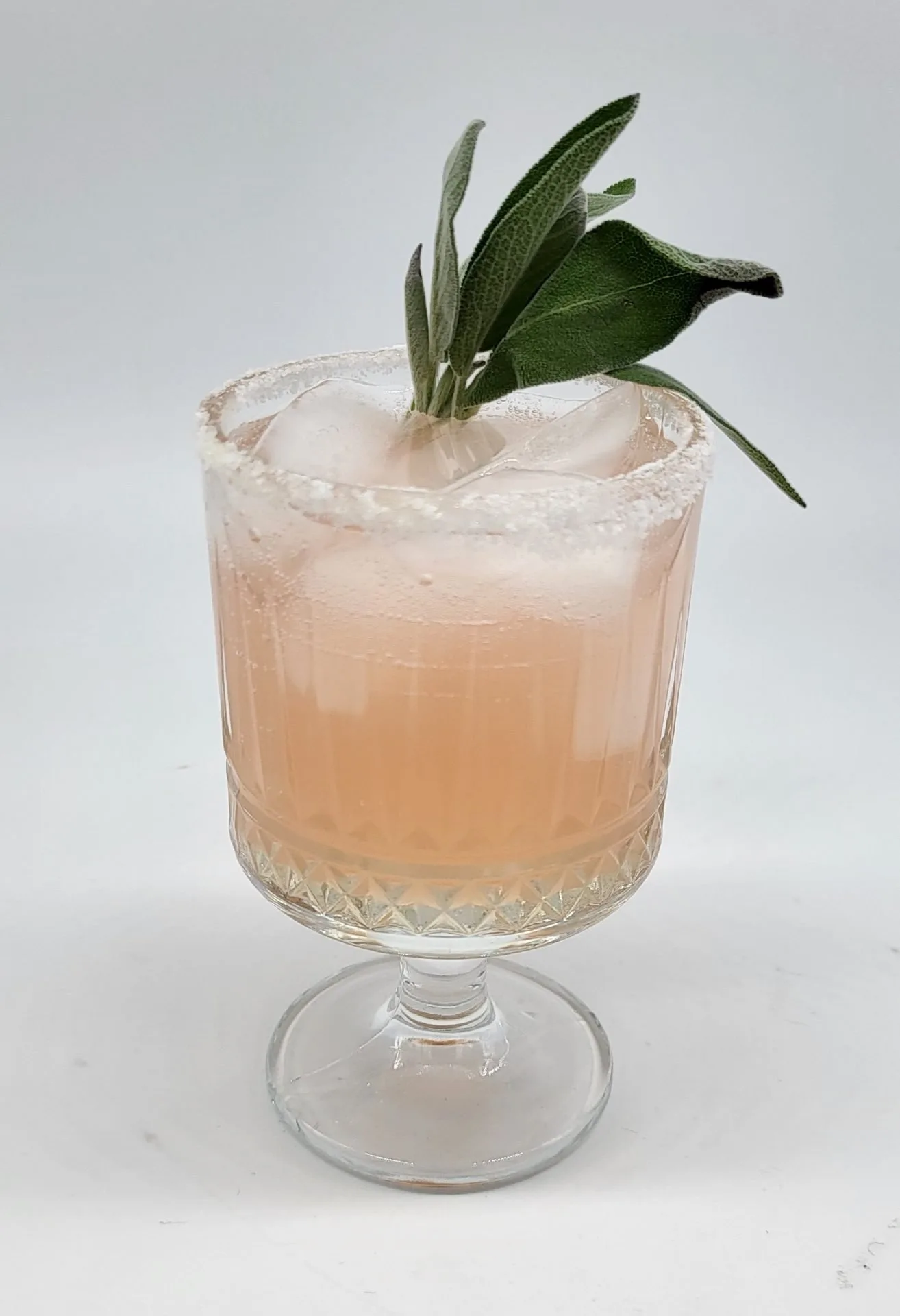 Paloma