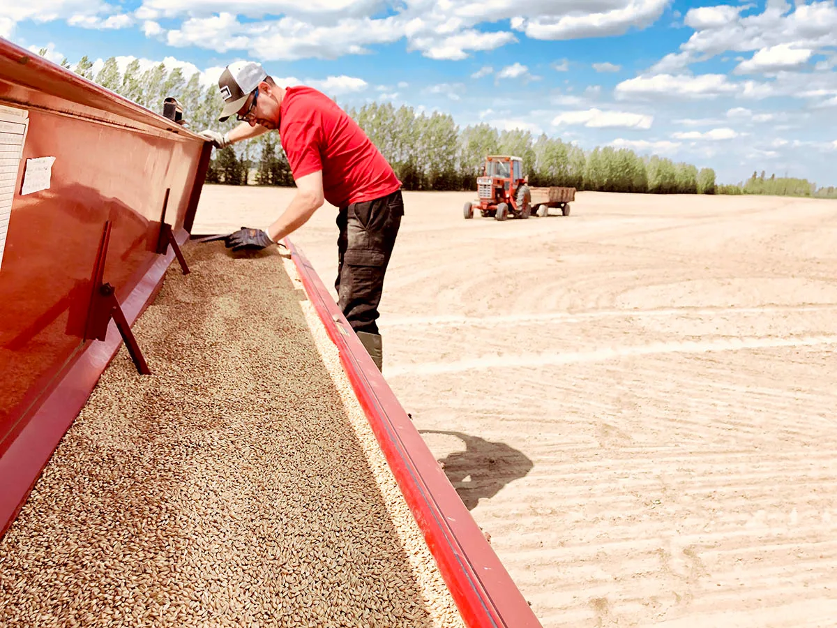 La ferme brassicole, un projet agricole avant tout