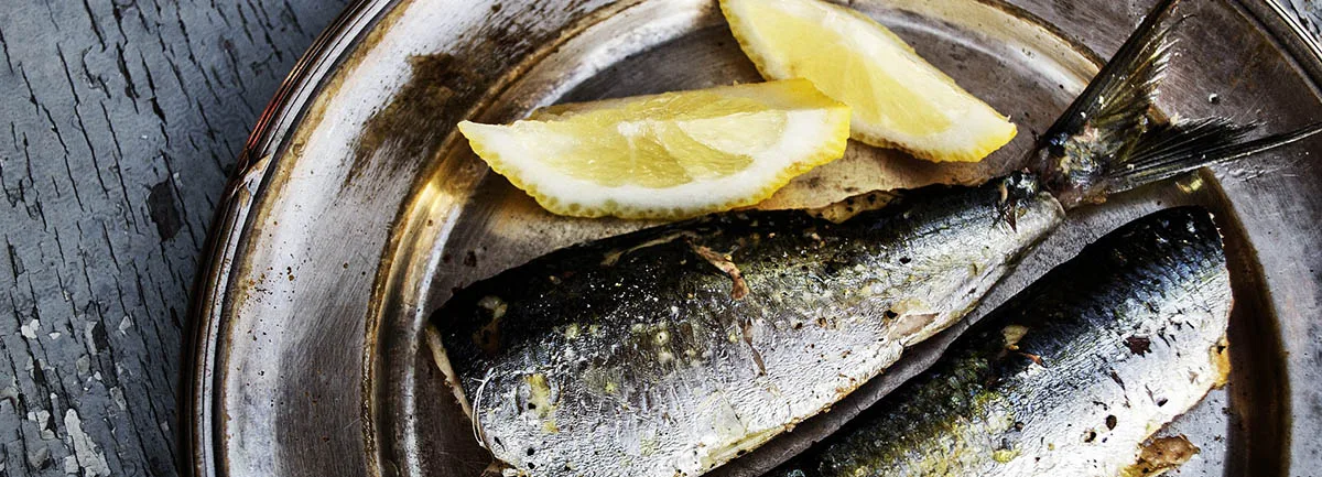 La sardine en boîte