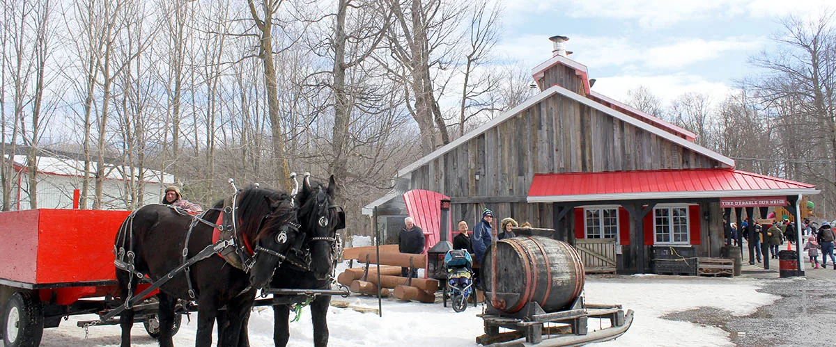 Se sucrer le bec à la cabane