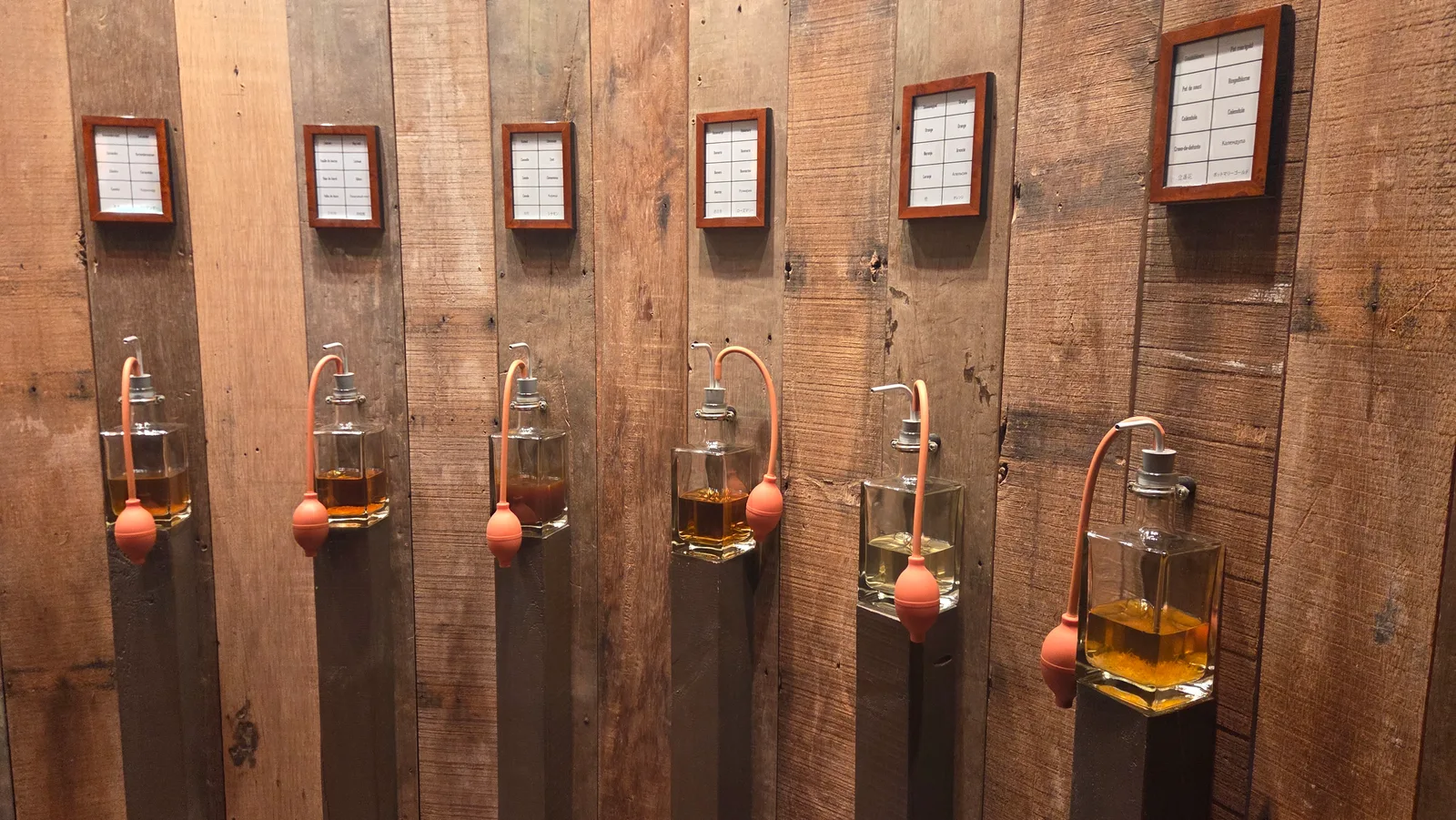 Musée de la bière - Bruges