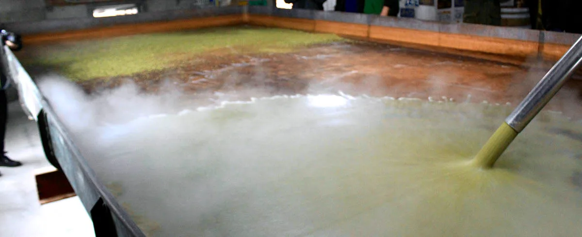 Les dessous de la fermentation spontanée