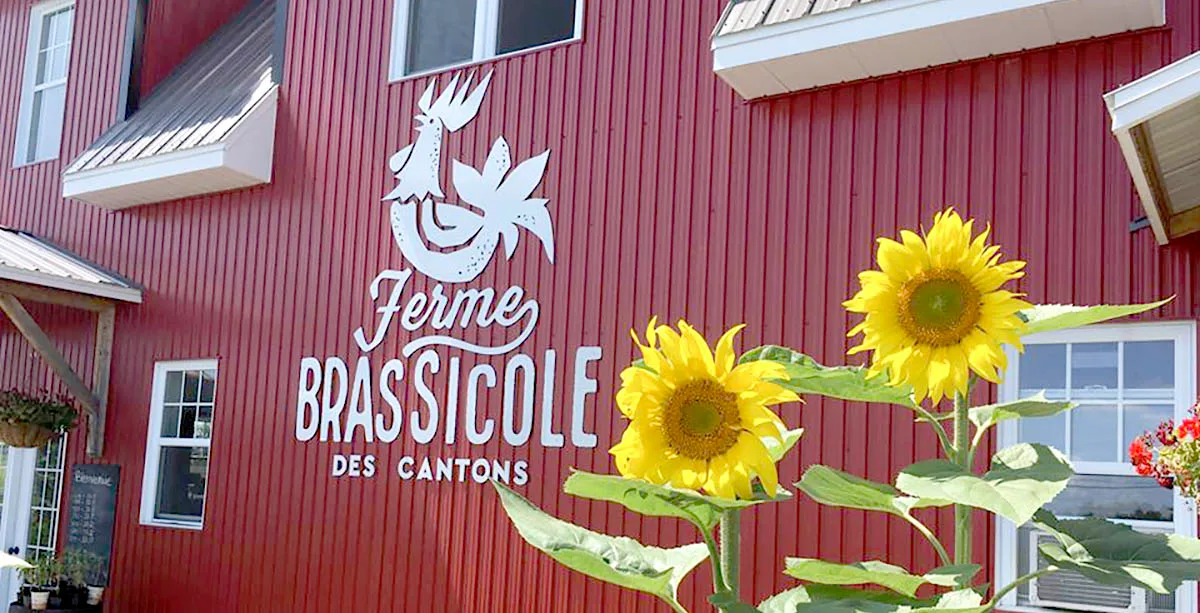 Enfin une microbrasserie à Repentigny!